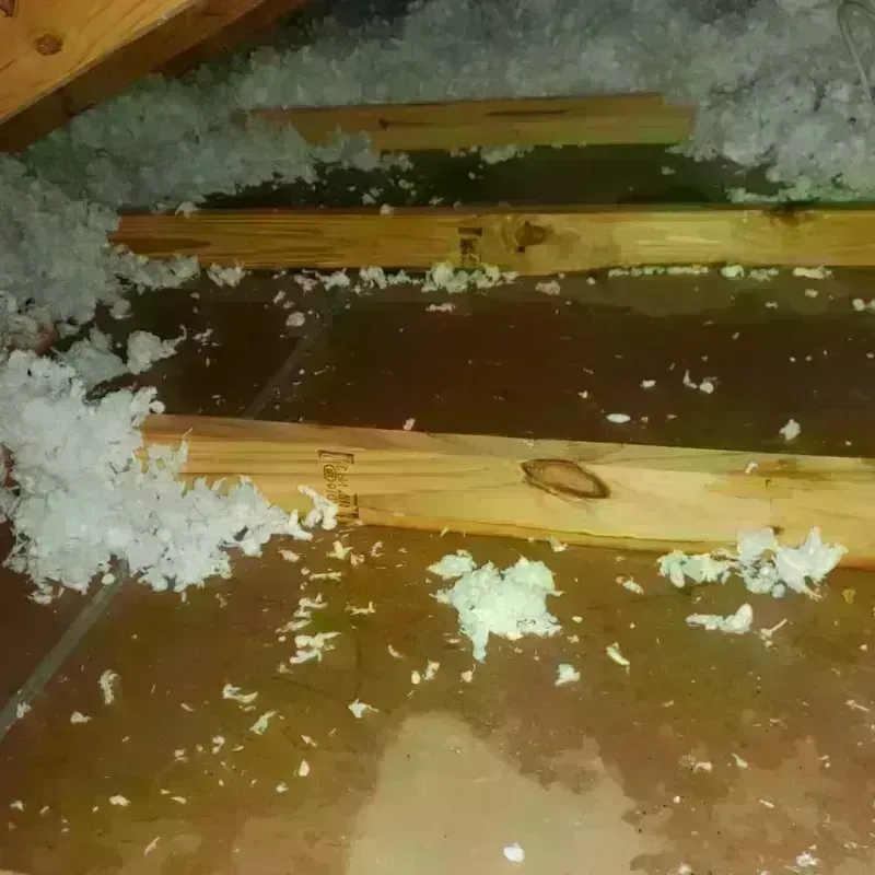 Attic Water Damage in Alma, KS