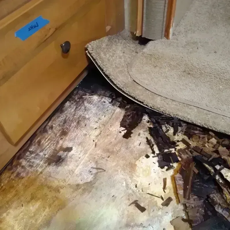 Wood Floor Water Damage in Alma, KS